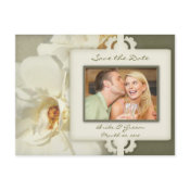 Save the Date photo postcards vintage white rose