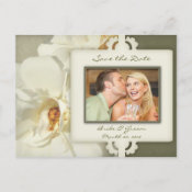 Save the Date photo postcards vintage white rose
