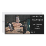 Save The Date Personalized Photo Card