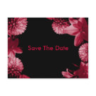 postcard - Pink flowers with black