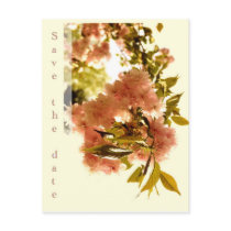 Save the date - pink cherry blossom postcard