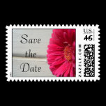 Save the Date Pink Daisy Postage