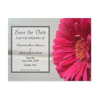 Save the Date Pink Daisy Postcard by indolilly