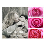 Save the date, pink roses your photo postcard postcards