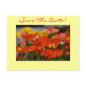 Save The Date Poppy Postcard