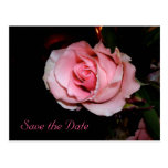 Save the Date Post Cards