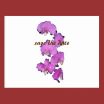 save the date postcards