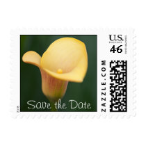 Save the Date Postage
