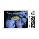 postcard - Save The Date Blue Hydrangea