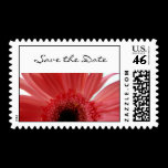 Save the Date Postage Stamp Pink Daisy stamps