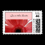 Save the Date Postage Stamp Pink Daisy stamps