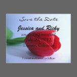 Save the Date postcard postcards