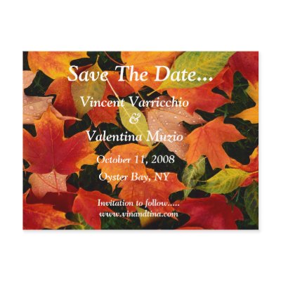 Save The Date Post Cards