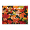 Save The Date postcards