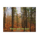 Save the date postcard by shellmart Save the date postcard