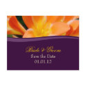 Save the Date Postcard postcard