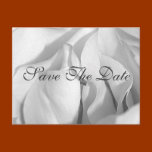 Save The Date Postcard