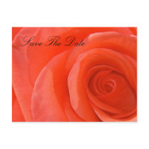 Save The Date Postcard