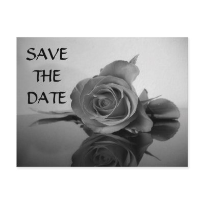 SAVE THE DATE POST CARDS