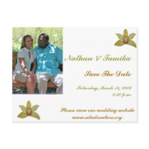 Save The Date Postcards