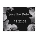 Save the Date postcards