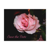 Save the Date postcards by MovingLight Save the Date postcards