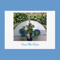 Save The Date postcards