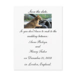 Save the date. postcards