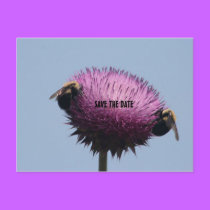 SAVE THE DATE postcards