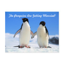 Save the Date postcards