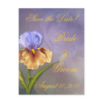 Save the Date! postcards