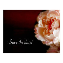 "Save the date!" Postcard postcards