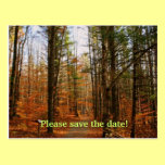 Save the date postcard postcards