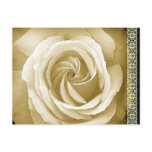 Save the Date Postcard Cream and Sepia Rose