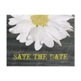 Save The Date Postcard - Daisy & Barnwood postcard