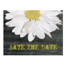 Save The Date Postcard - Daisy & Barnwood