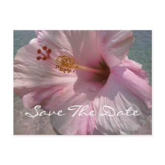 Save the Date Postcard - Tropical Beach Wedding postcard