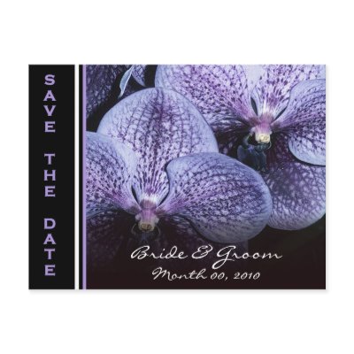 Save the Date postcards
