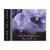 Save the Date postcards purple orchids