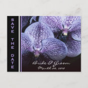 Save the Date postcards purple orchids