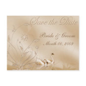 elegant Save the Date postcards with swans