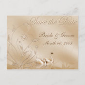 elegant Save the Date postcards with swans