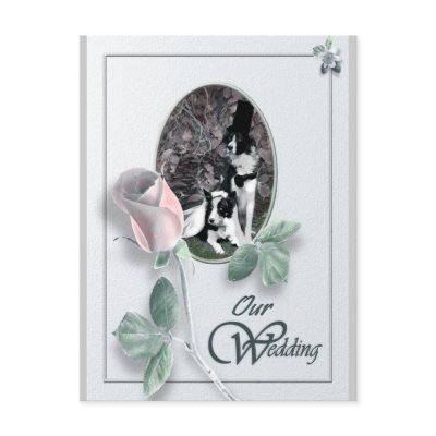 Save the Date Postcards by Petcetera