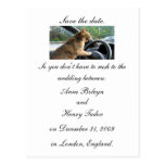 Save the date. postcards