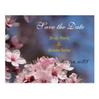 save the date,pretty spring cherry flowers postcards