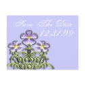 Save The Date - Purple and Yellow Daisies postcards by samack Save The Date - Purple and Yellow Daisies postcards