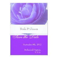 Save the date,purple rose flower custom invite