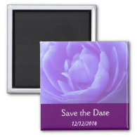 Save the date,purple rose flower fridge magnet