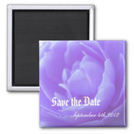 Save the date,purple rose flower magnets