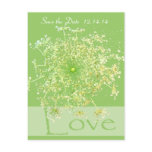 Save The Date  Queen Anne's Lace postcards